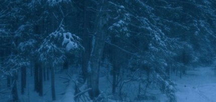 C456O_'s tweet image. 