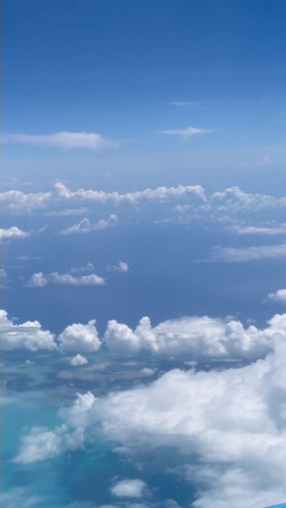 Zailyn_ZLL's tweet image. My not lash related summer went like this…✨
Follow my personal account @zee.allthingspretty 

#blessedandgrateful #manifestedthis #financialfreedom #americandream instagr.am/reel/CjCL4E_JZ…