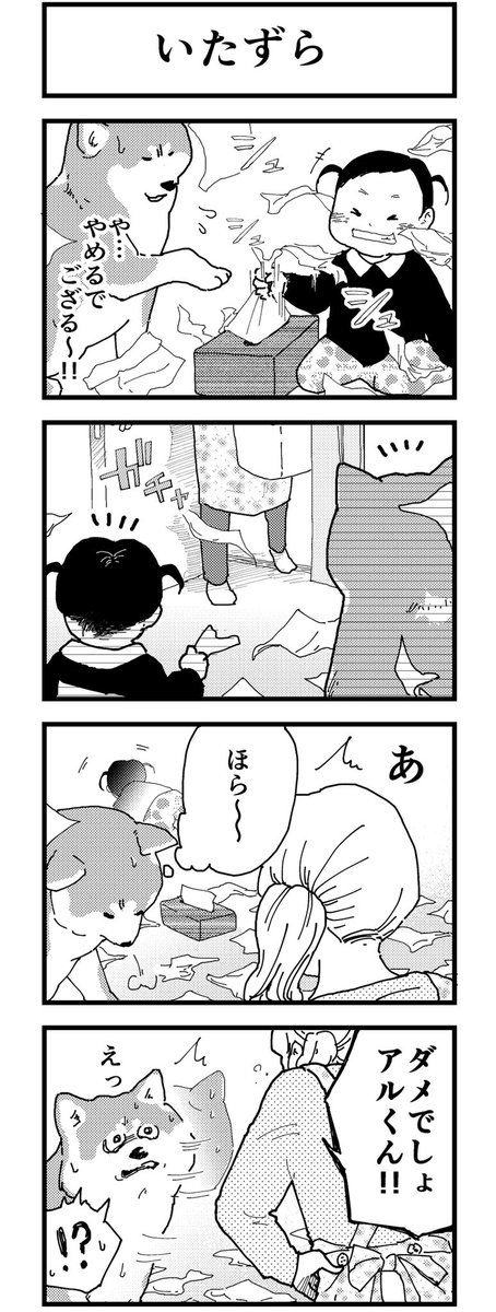 第1話は、こちら🐶🐱
「アルくん」
「いたずら」

#4コマ漫画
#赤ちゃん #犬 