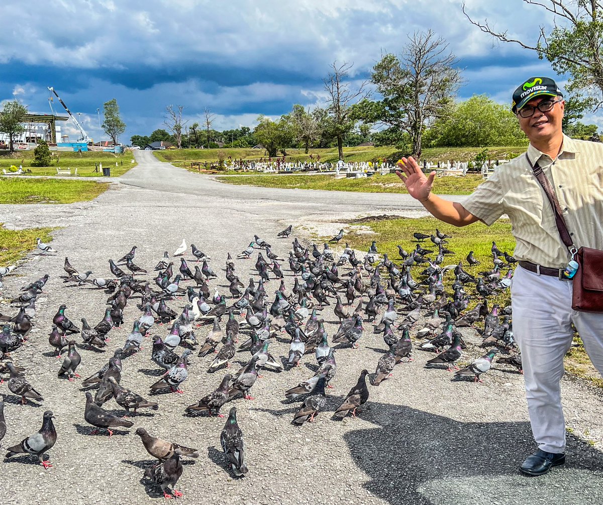 EdwinNurdjajadi's tweet photo. Scores of them. We were greeted by hungry pigeons at #Semariang Cemetery to visit my eldest brother grave. They came in droves &amp; it was a lovely sight. Making sure I buy them corn or abuk as promised #arifwednesdaythought #kikuyus #Sarawak #audioleak #GFvip #luna @khalidainie https://t.co/SeGbhN9dBl