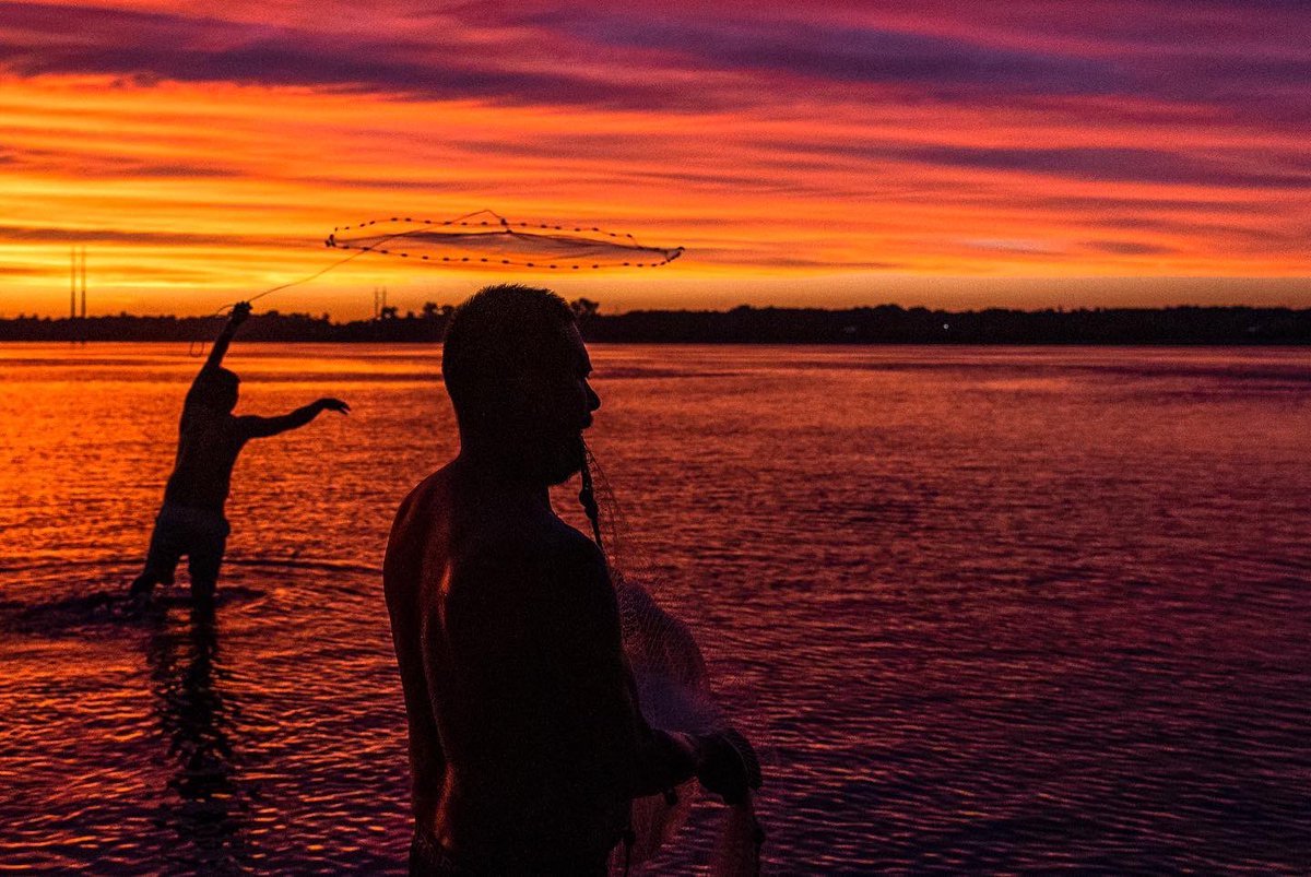 Andrew J. Whitaker tweet media