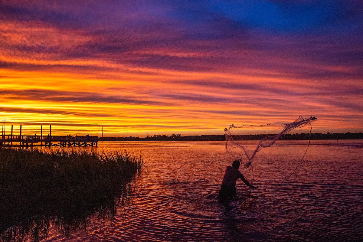 Andrew J. Whitaker tweet media