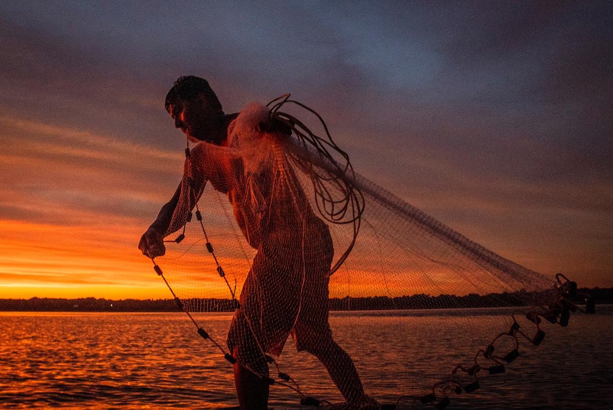 Andrew J. Whitaker tweet media