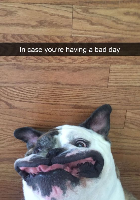 WholesomeMeme's tweet photo. https://t.co/jiWzy68oBh