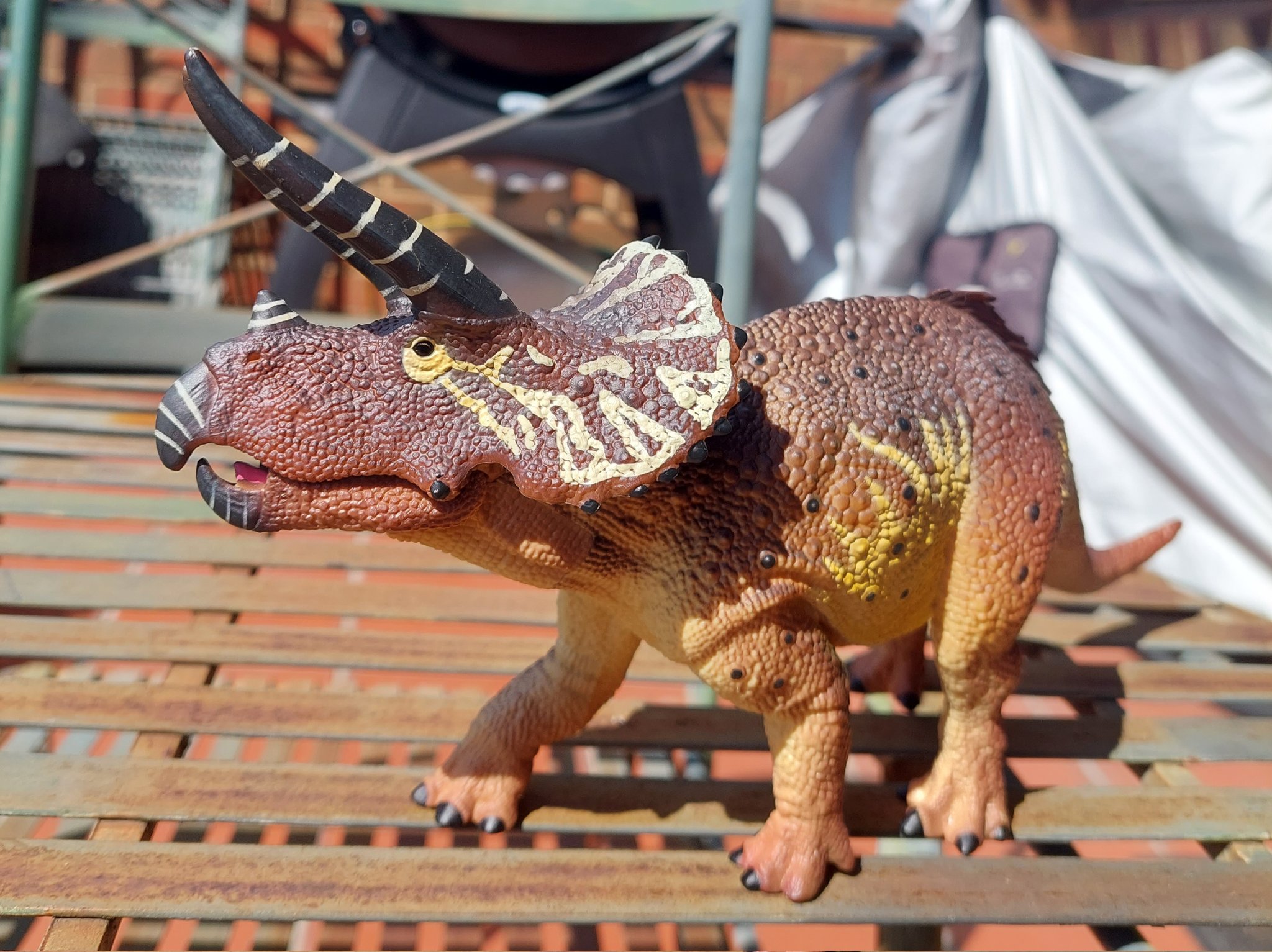 Collecta triceratops best sale