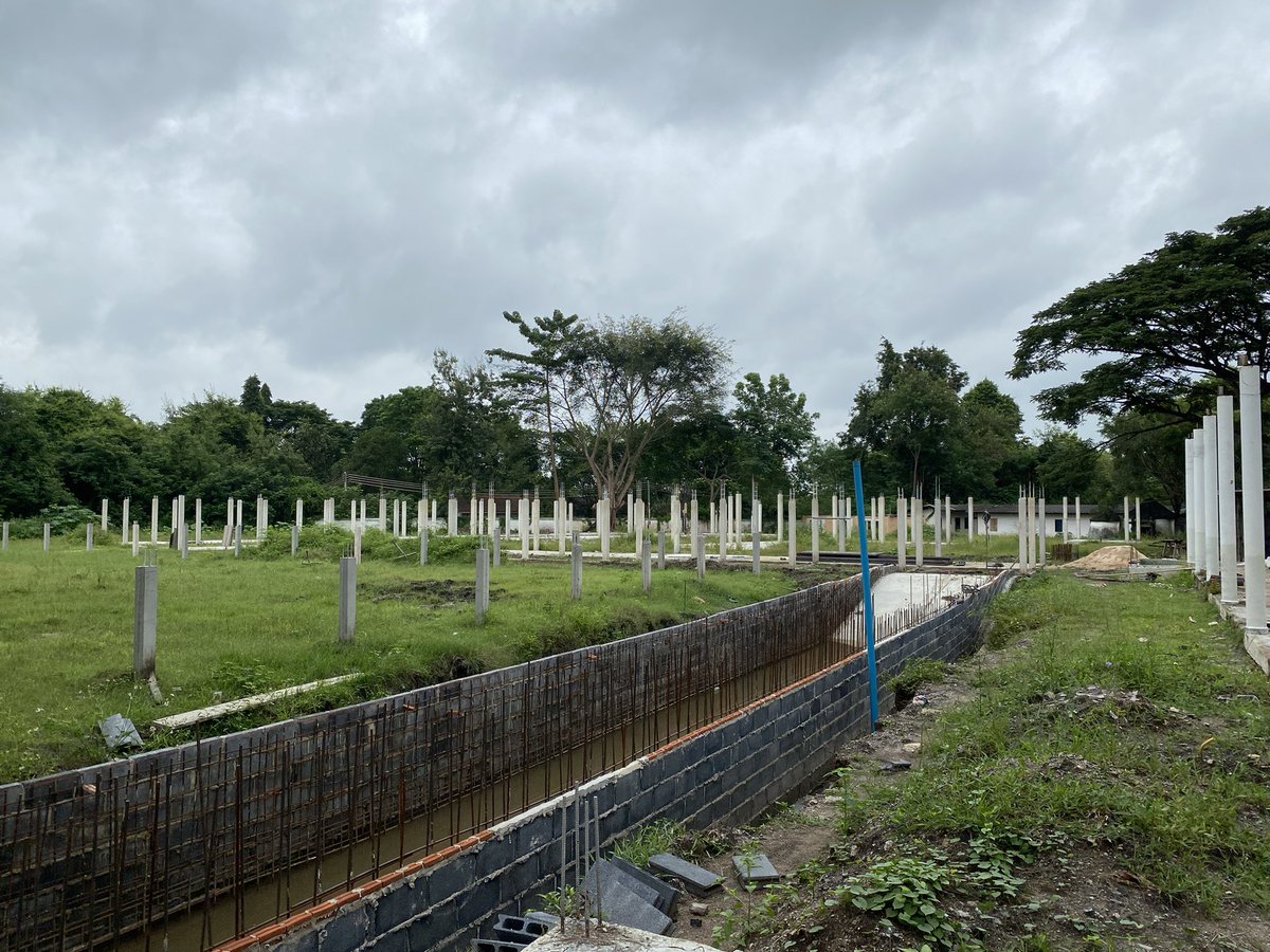 ฝนตกขี้หมูไหล