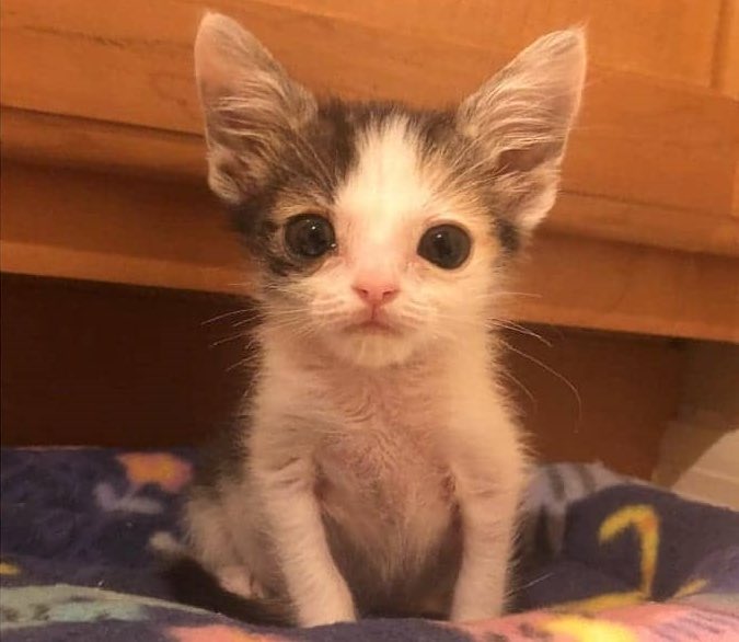 this was me last night