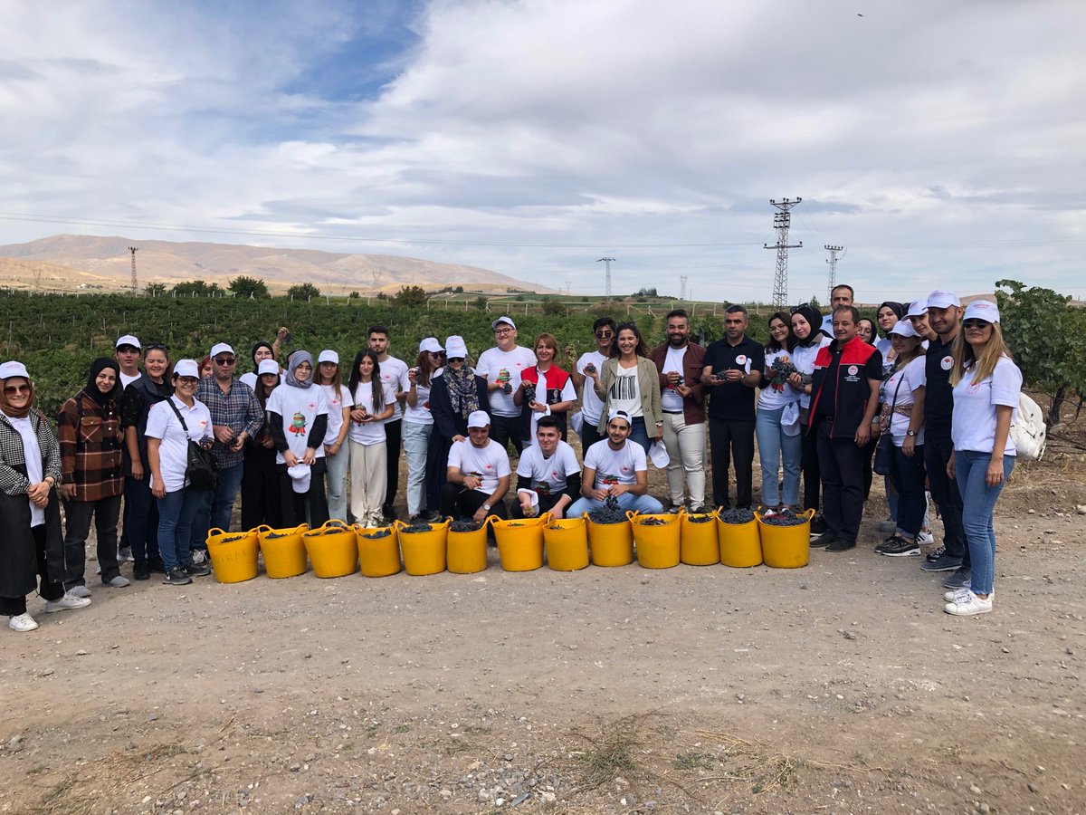 e_tugceaksun's tweet photo. Recaybu kapsamında Kalecikte düzenlenen“son hasat etkinliği”kapsamında
Gıda işleme Bölümü öğrencilerimiz ve bakanlık personeli ile dalından üzüm hasatı yapıp,ihtiyaç sahiplerine ulaştı
@profdriaydinli
@RecAybu
@ankaratarim
@tarimveormanbak
@GIDANIKORU
@alper_kocaker 
@zeynepozkan https://t.co/ew8pE7XgGs