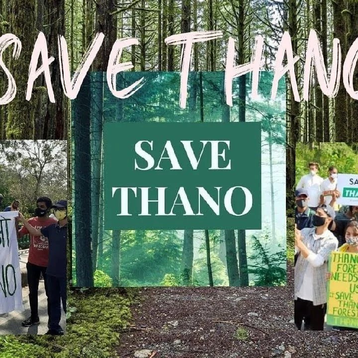 endelstamberg's tweet photo. In the times of the climate emergency it's a crime to sacrifice trees for more air traffic!

#SaveThano #SaveThanoForest 
@Fridays4future
@FFFIndia
@fridays_india
@GretaThunberg
@LicypriyaK
@AaravSeth_
@Sarahhh_lndian
@KambojAnanya
@fff_digital
@LetMeBreathe_In
@greenpeaceindia https://t.co/prxZSMgdI6