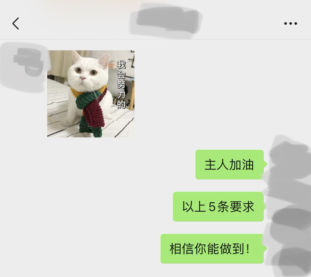 不定期PUA我主子，今天又给主人定了5大KPI，对方表示会努力，我很欣慰🤣 @yexiaoci654 https://t.co/S56vTBvAS6