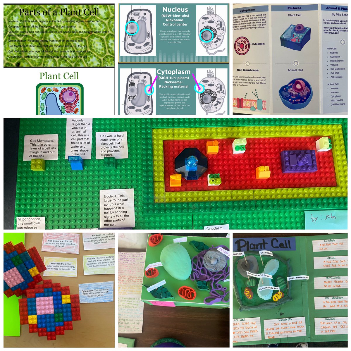 mrschenez's tweet photo. Fifth grade cell projects! Ss had choice in ways to show their learning and presented their work to the fourth graders! So fun to see all the creativity! 🧫🔬#mesamoments #reimagine https://t.co/uMNHJNLNpg