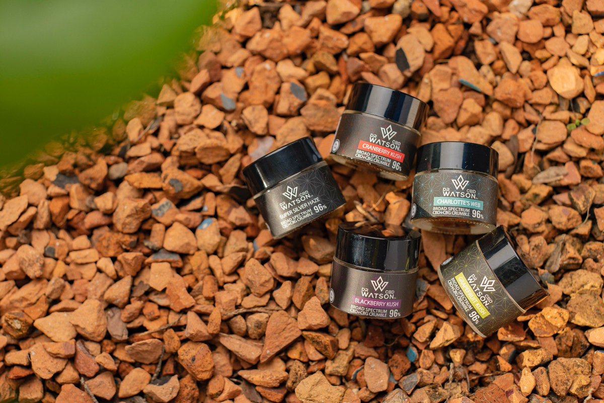 VERYVERYVAPE's tweet photo. Dr Watson CBD.
#CBD #CBG #CBN https://t.co/w79wZ9YJRq