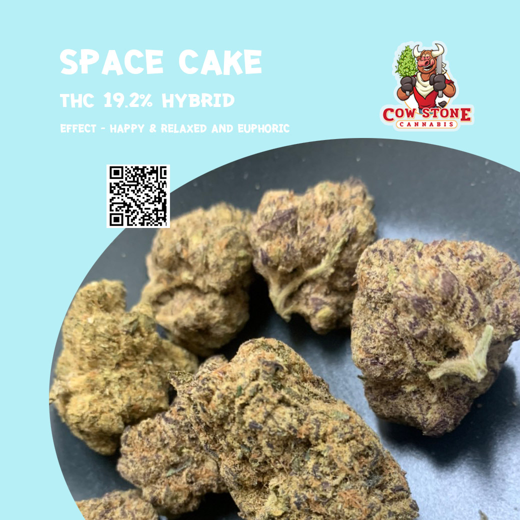 Cowstonebkk's tweet photo. Space Cake 550b/g
THC 19.2% (HYBRID) 
Flavors = Sweet Vanilla Nutty ammonia 
Effect = Happy Giggly Creative Energetic 
ติดต่อเรา https://t.co/sA2ARNFd8s
#ขายกัญชา #พายุโนรู #นาราเครปกะเทย #รักไม่ใช่ดวงดาวเมื่อพราวแสง #ThreeManDown #ด้วยรักและหักหลังตอนจบ #หุ่นพยนต์ #รอรล่ม https://t.co/4lkquSMJQU