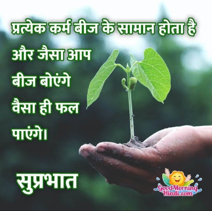 ParveshPandey9's tweet photo. सुप्रभात https://t.co/bne74ieVcB