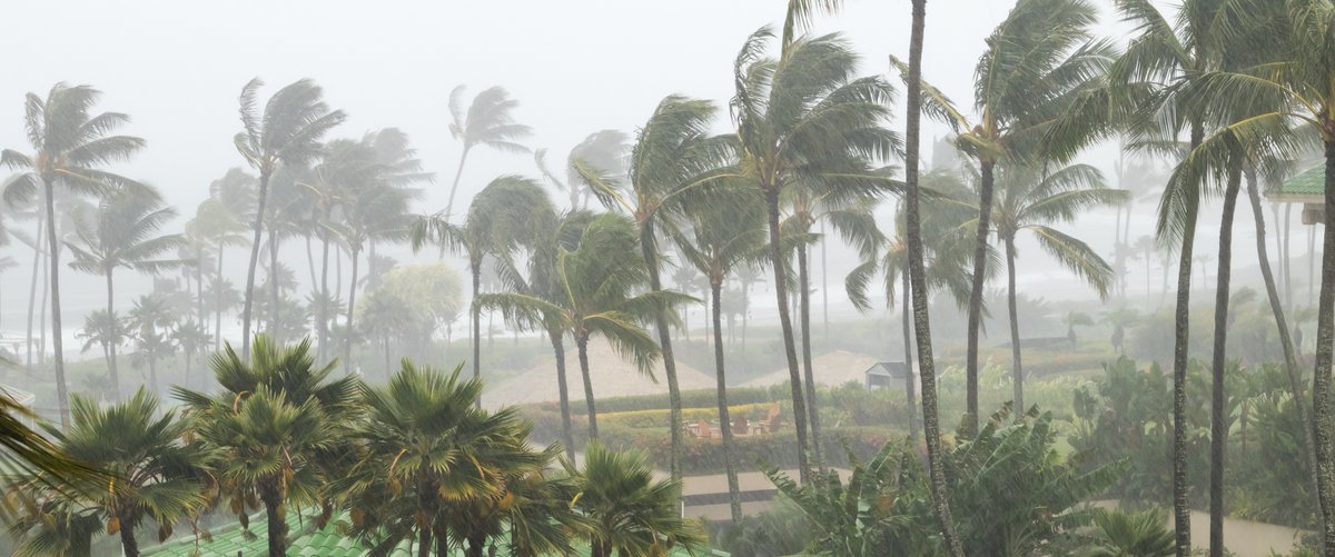PascoExt's tweet photo. As #PascoCounty continues to monitor #HurricaneIan, it’s important to stay vigilant!  Despite changes with Ian’s track, heavy rain and strong winds are still forecasted.  Follow our social media channels and https://t.co/kGl11s6r6U for the latest news and info. https://t.co/kFXt5a4PoV
