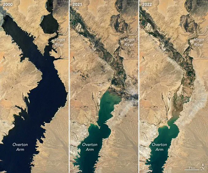 konstructivizm's tweet photo. NASA satellite imagery of Lake Mead from July 6, 2000 - July 3, 2022 https://t.co/cXG4VOBZUb