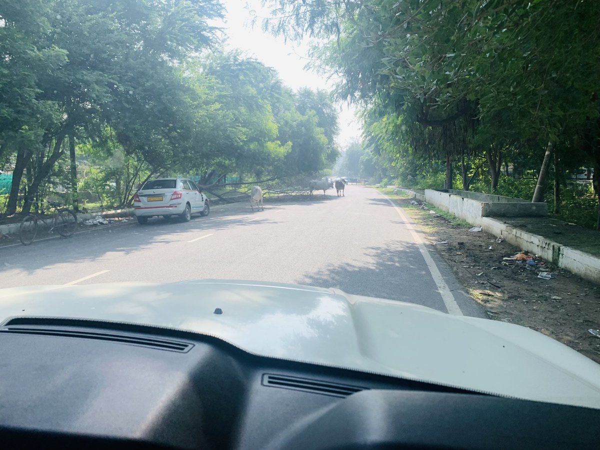 It’s been more than 3 days, few big trees fallen down due to rainfall, but nobody has cleared and I am talking about the most posh area of Greater Noida that’s have IFS VILLAS, NSG SAS, JUDGES SOCIETY, MITRA ENCLAVE. <a href="/OfficialGNIDA/">Greater Noida Industrial Development Authority</a> <a href="/GautamBudhNagar/">Gautambudh Nagar</a> <a href="/noida_authority/">NOIDA Authority</a> <a href="/HTNoidaGzb/">HT Noida & Ghaziabad</a>