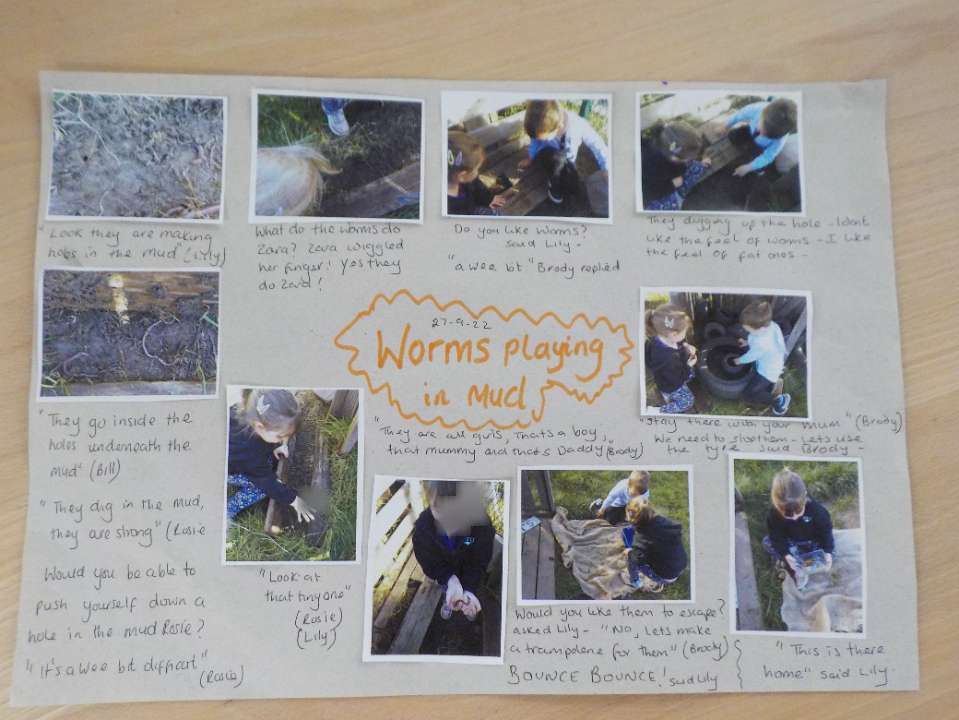 Virtual Nature School 🏴󠁧󠁢󠁳󠁣󠁴󠁿 tweet media