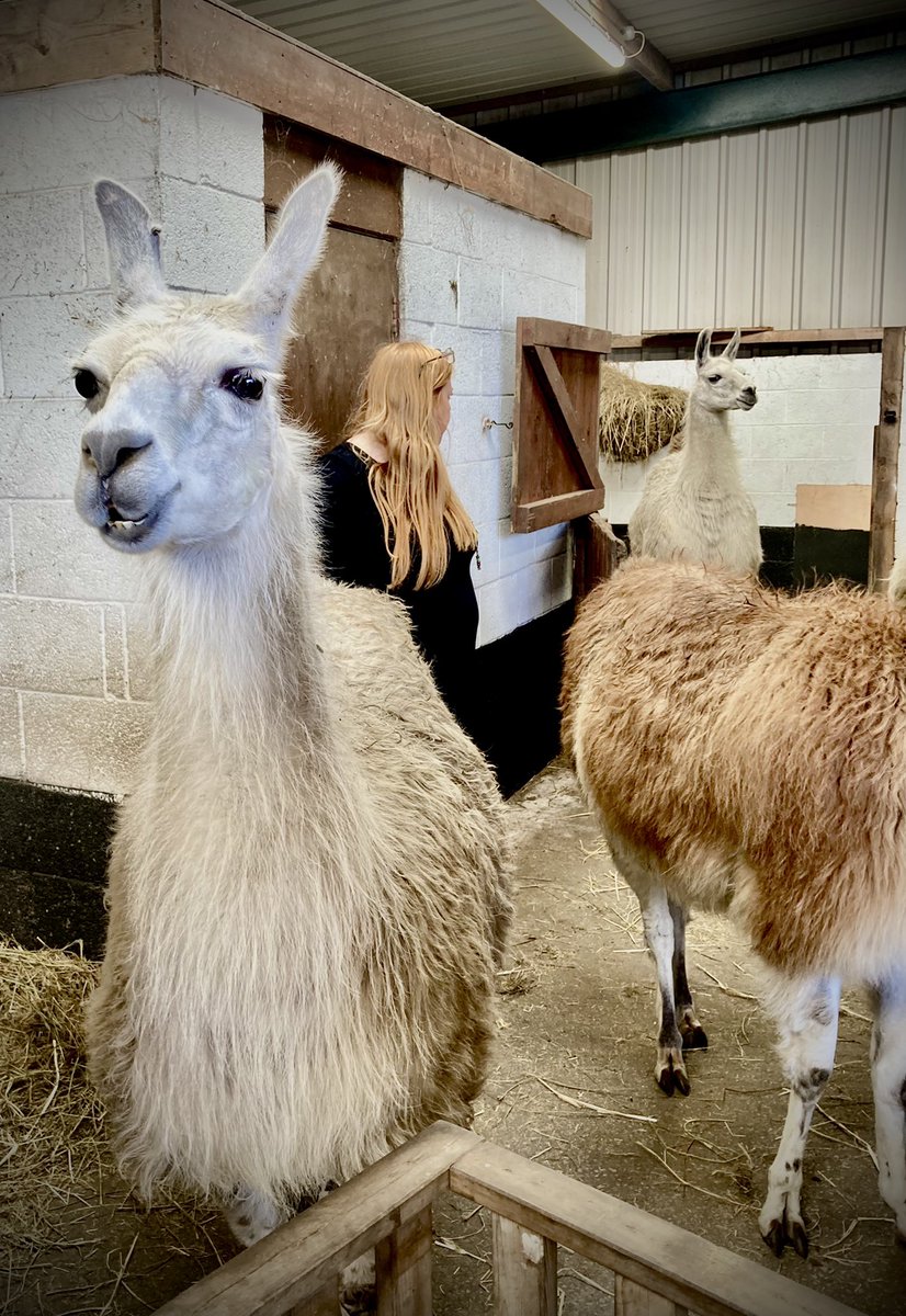 HopwoodChef's tweet photo. Our level 3 NVQ students @hopwoodhall @greenweek had a great day @CeliaFarm yesterday learning about #Sustainability &amp; what is envolved to become a @BCorpUK business. They really enjoyed meeting some of the residents &amp; a local employer, passionate about staff wellbeing. https://t.co/skwbOVtq7b