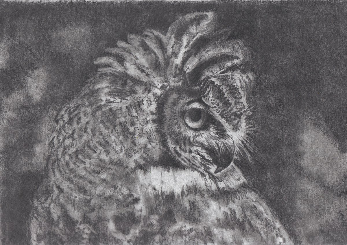 Werk in uitvoering. Grafiet op A4 tekenpapier. Er zitten al heel wat uurtjes in. Ben nog niet klaar. 
:-)