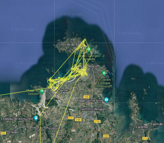 _SamanthaFranks's tweet photo. Maintenant, 9L a des #courlis français comme amis. She is enjoying the seaside around l'Île de Batz & Roscoff.
Will any more young #Curlew migrate this year? 4/4
@_BTO @Pensthorpe @NaturalEngland @JiguetF
#migration #ornithology #waders #biologging https://t.co/nmeGNZ5B8k