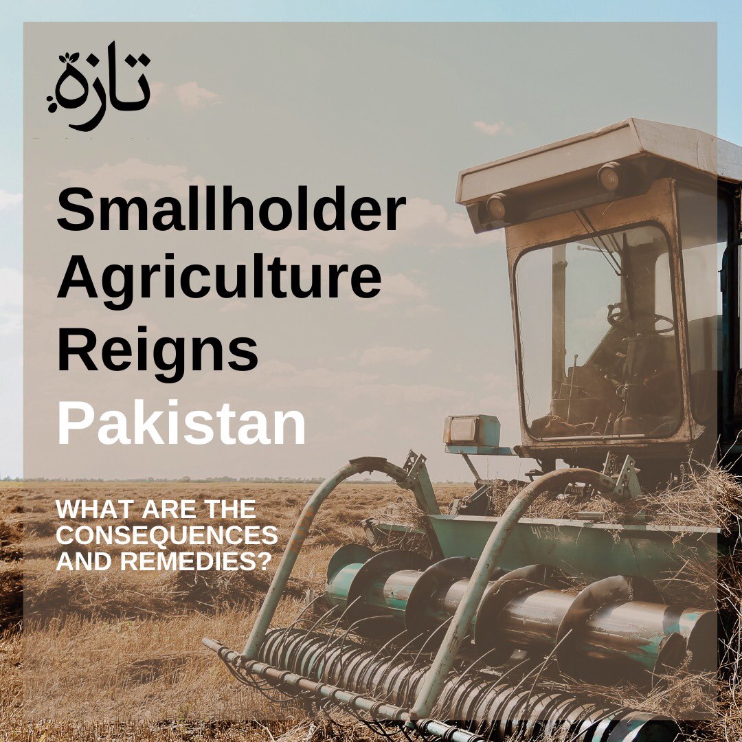 Pak’s farm economy has 7.4M farmers, most of whom have less than 12.5 acres of land each, resulting in small holders 

These small holders have outdated machinery &amp; little capital for investment, making meagre output

What should be done to empower them?

#tazah #agriculture