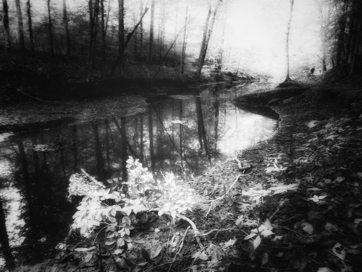 Apparently I've been considered a recluse.

Mary Oliver