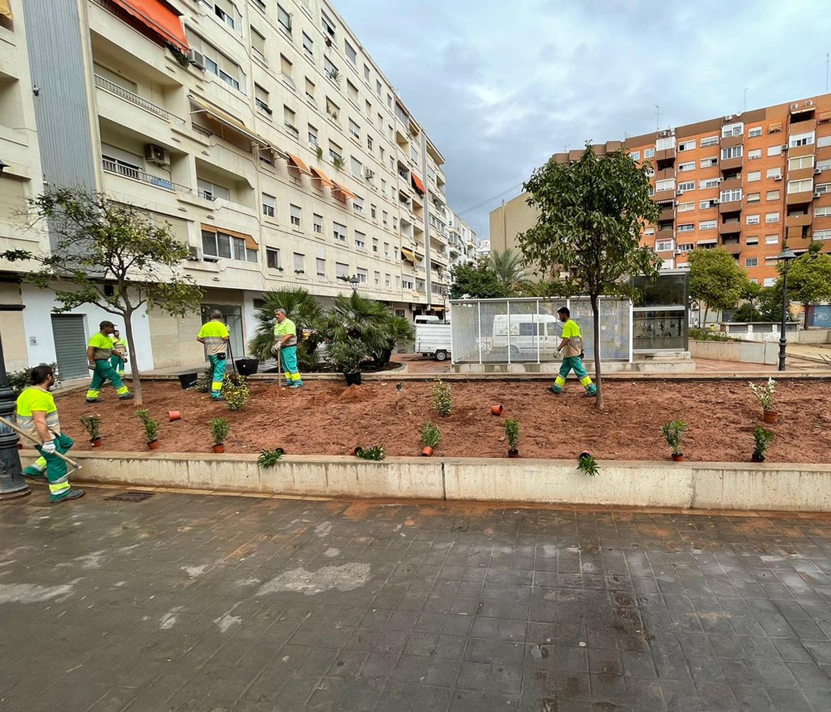 VLCVerda's tweet photo. 🌳Des de la #ValènciaVerda, estem plantant diferents arbres i plantes. #Magraners i #rosers, entre altres varietats, en jardins com ara el de Germans Fabrilo. 💦 Quan acabem, procedirem a la reinstal·lació del reg per degoteig i l'encoixinat de la zona.
#JardineriaSostenible https://t.co/qrY4bOiOin