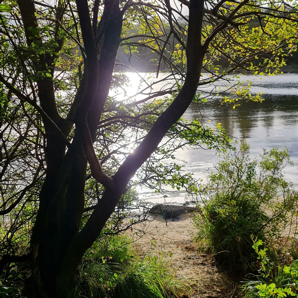 adamsnook82's tweet photo. Was in Ireland at the weekend, beautiful place.

#Ireland #adventures https://t.co/0zJP3LSTB1