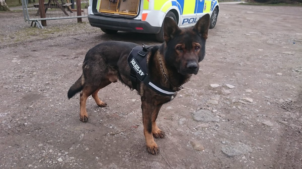 Derbyshire Police tweet media