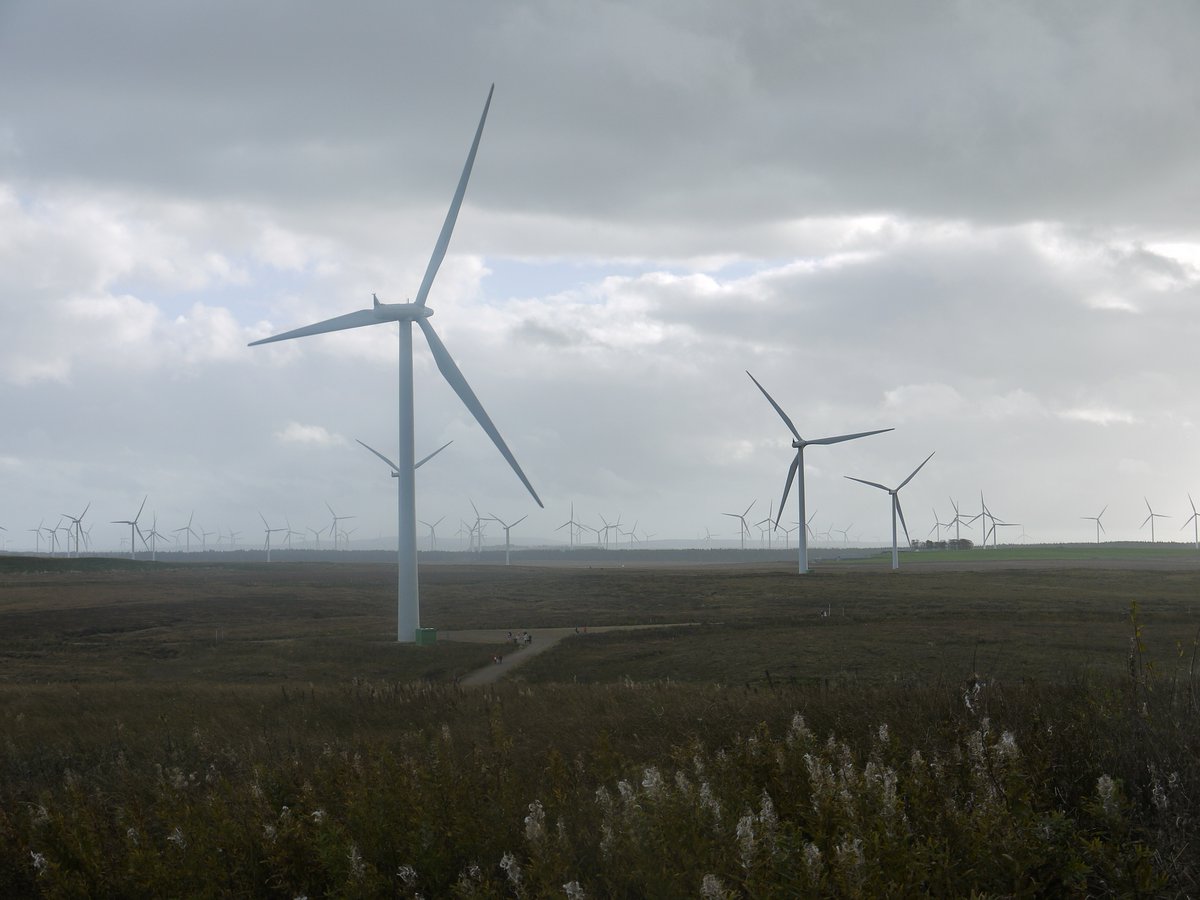 collarbrodies's tweet photo. Successful wind farm appeal. That's 6 out of 7 appeals successful for that developer in just over a year.

That shows the planning system is not working. #npf4 will not fix the underlying problems.

@ScotRenew @SGChiefPlanner @ThomasCArthur @RTPIScotland @HeadsofPlanning https://t.co/Q5PN5sdKEz