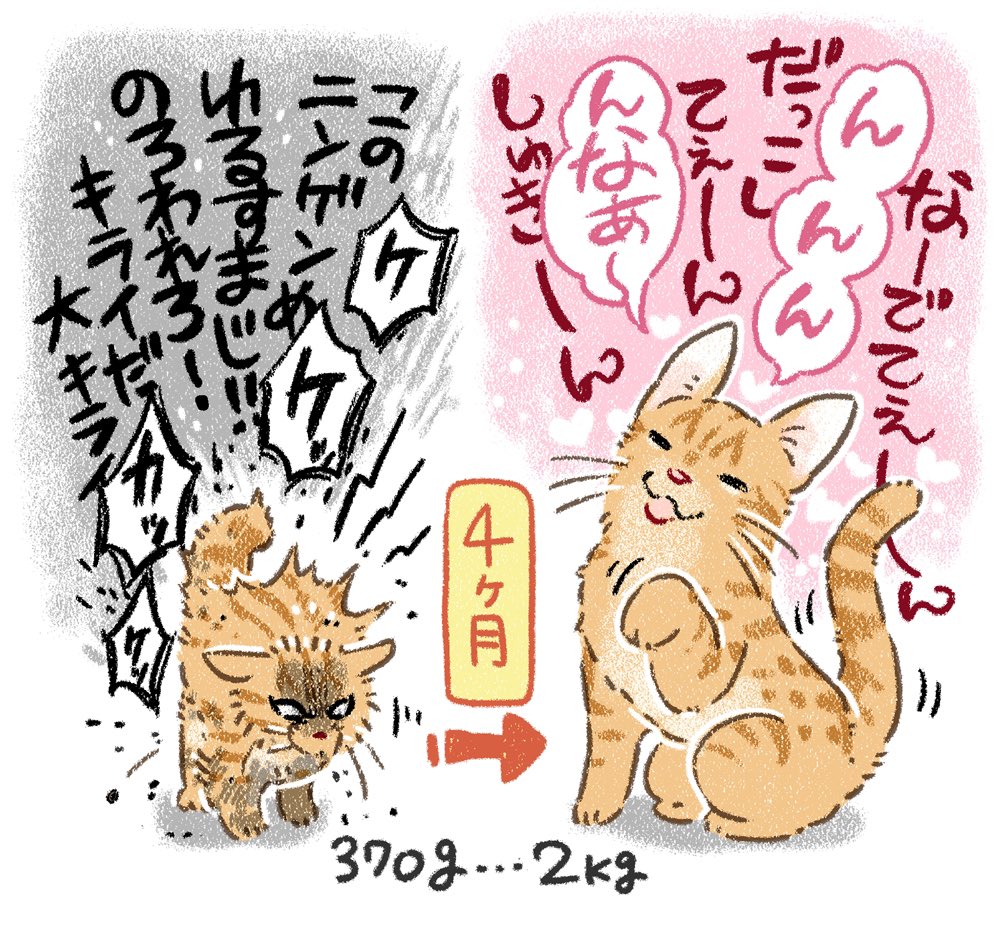 我が家最後の保護猫がトライアルに出発しました〜✨ 頑張ってメロメロにしてこいよ〜✨ いつか猫漫画も描きたいので練習練習 #ねこ #猫 #保護猫 #茶トラ