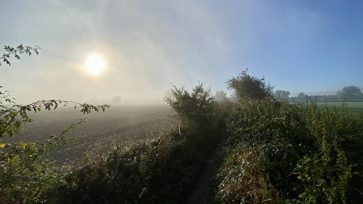 Maarten Veldhuis 💬 tweet media