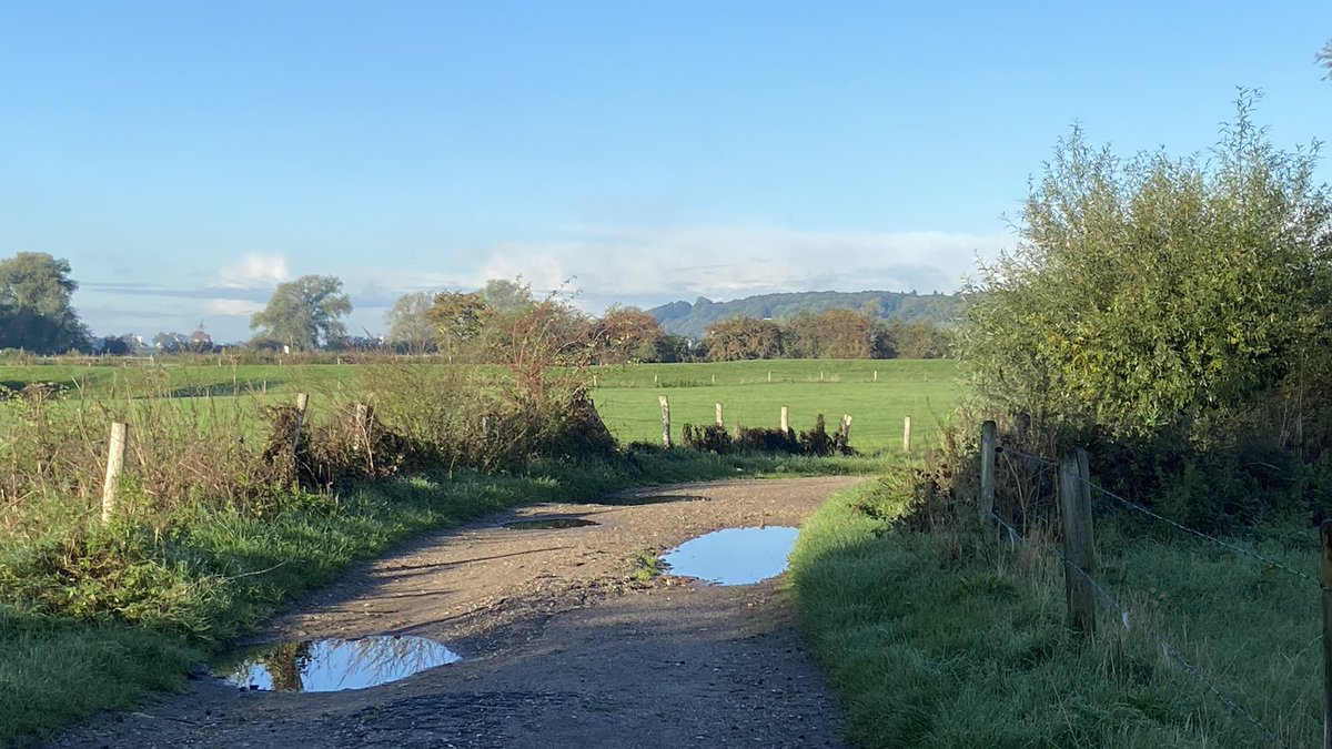 Maarten Veldhuis 💬 tweet media