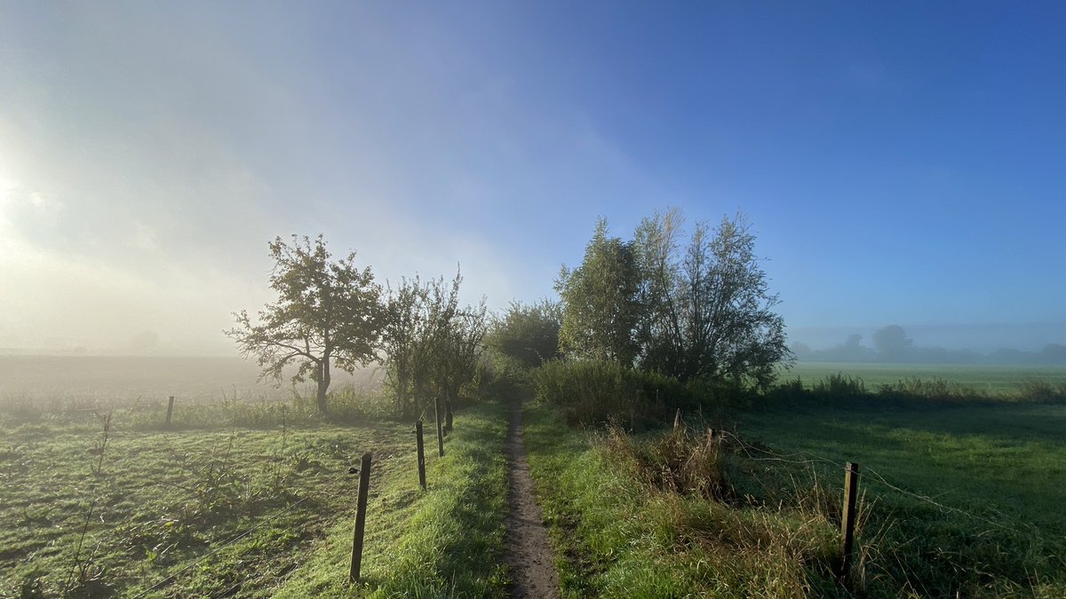 Maarten Veldhuis 💬 tweet media