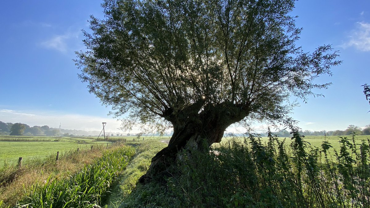 Maarten Veldhuis 💬 tweet media