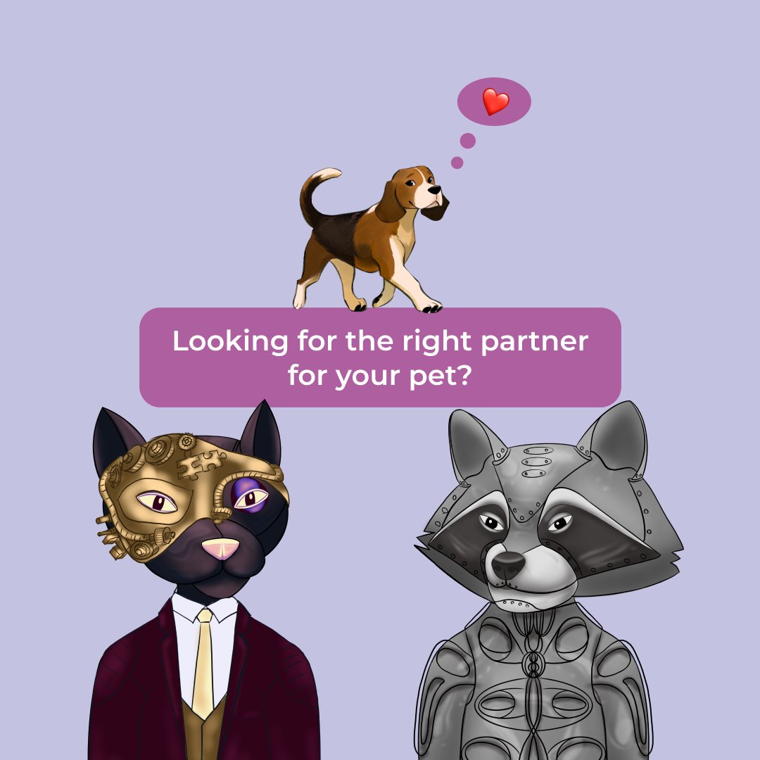 SMARTC0NTACTS's tweet photo. 🙀
Looking for the right #partner for your pet?
There are so many furry lovers around that by going to C00NTACT B00K you will definitely be able to #findpets and owners of your particular #breed, and then there will be only formalities!
#find_friends #contacts_run #C0NTACKTB00K https://t.co/Ofti6BmTTQ