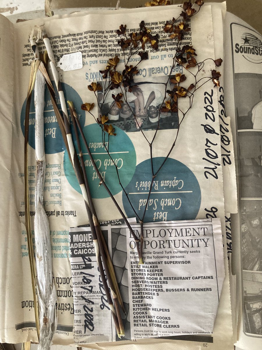 Ecolog3stDutz's tweet photo. After nearly 3 months the orchid specimens are finally dry and they’re getting ready to make their way to @KewScience @KewUKOTs #kewtci @Darwin_Defra #TIPAs https://t.co/9CKe4goU12