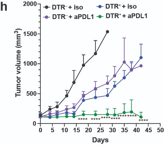 Ultimately, this enabled us to ask if LRRC15+ CAFs limit response to immunotherapy. Here we find depletion of LRRC15+ CAFs markedly improved response to aPDL1 treatment, validating prior clinical associations between LRRC15+ CAFs and resistance to immune checkpoint blockade. 8/