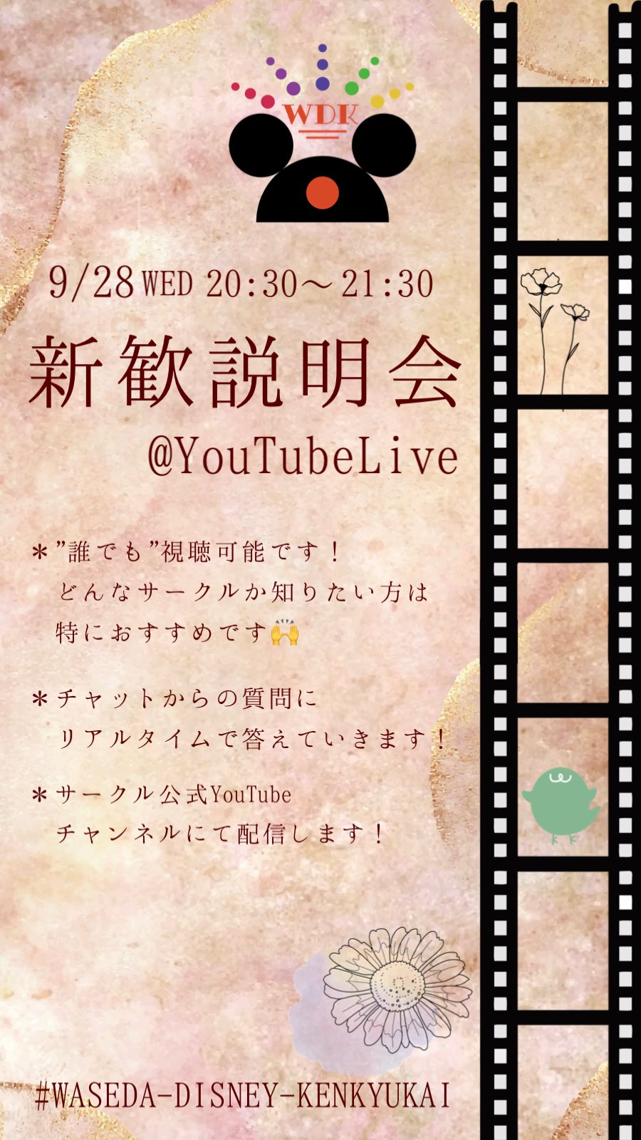 アーカイブ 新歓情報 早稲田大学ディズニー研究会