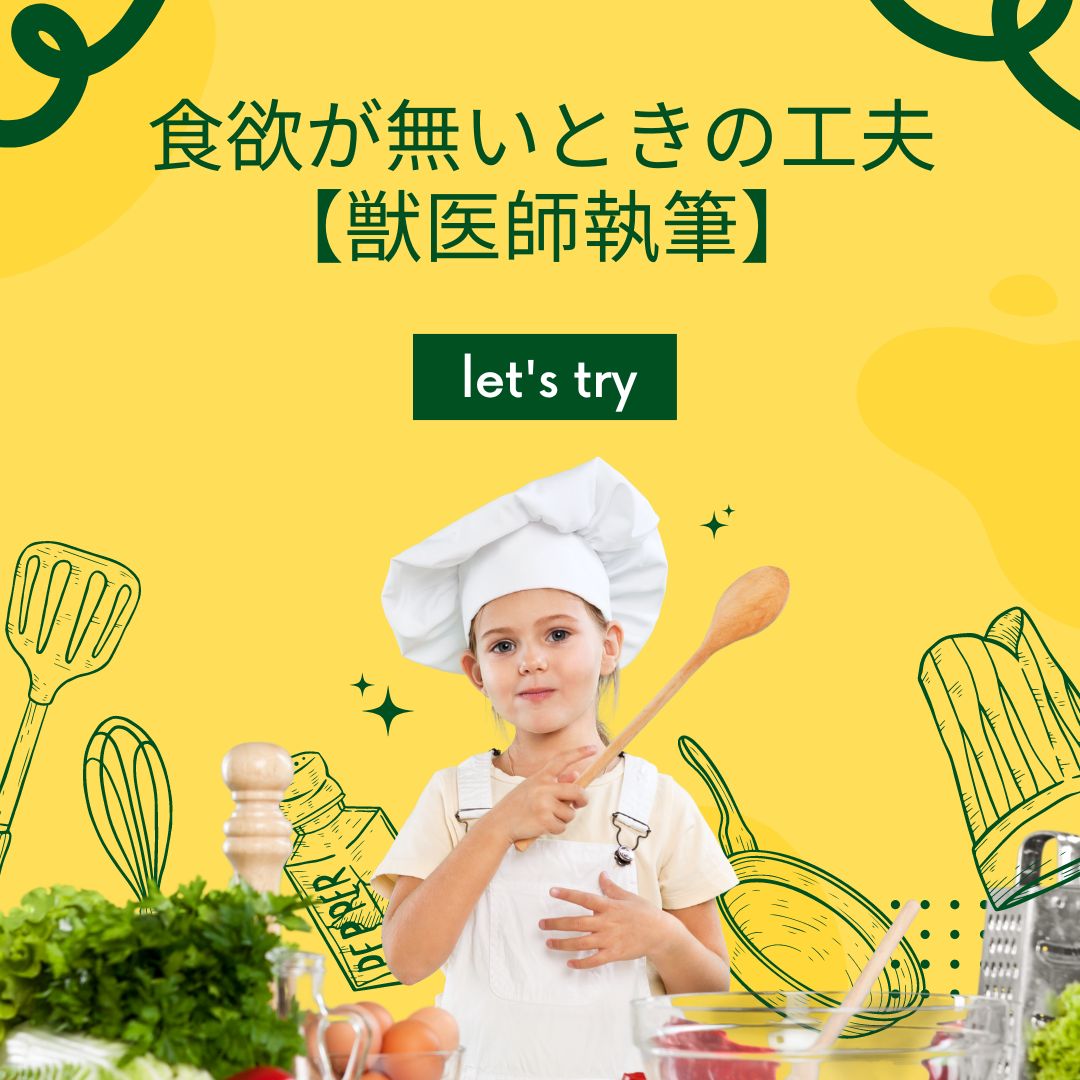 apna_jp's tweet photo. 【獣医師執筆】食欲が無いときの工夫
https://t.co/mO6cliBMgY
＃ペット食育協会 ＃須崎動物病院 ＃手作りごはん ＃犬 ＃猫 https://t.co/7g5S1D4yKb