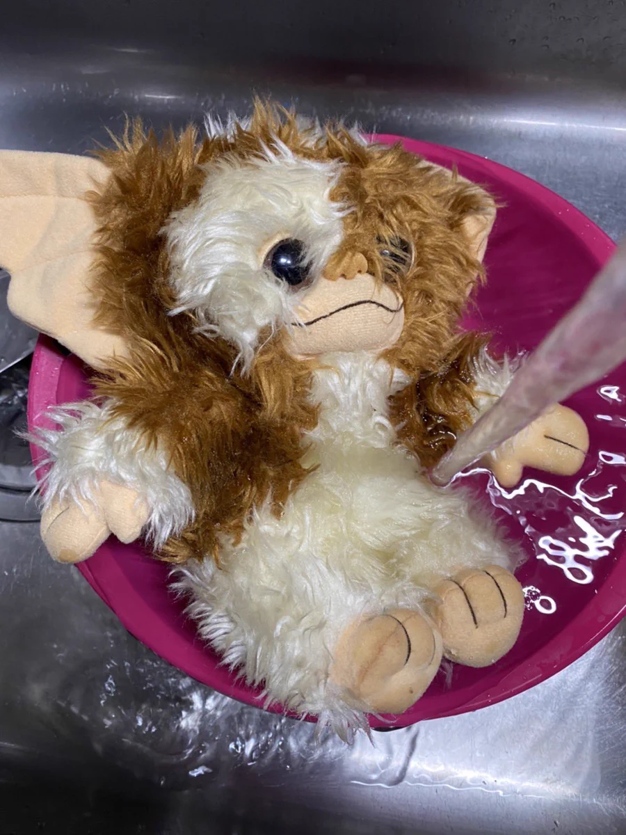 グレムリンを洗濯！？昭和生まれなら震えあがる画像見つかる！