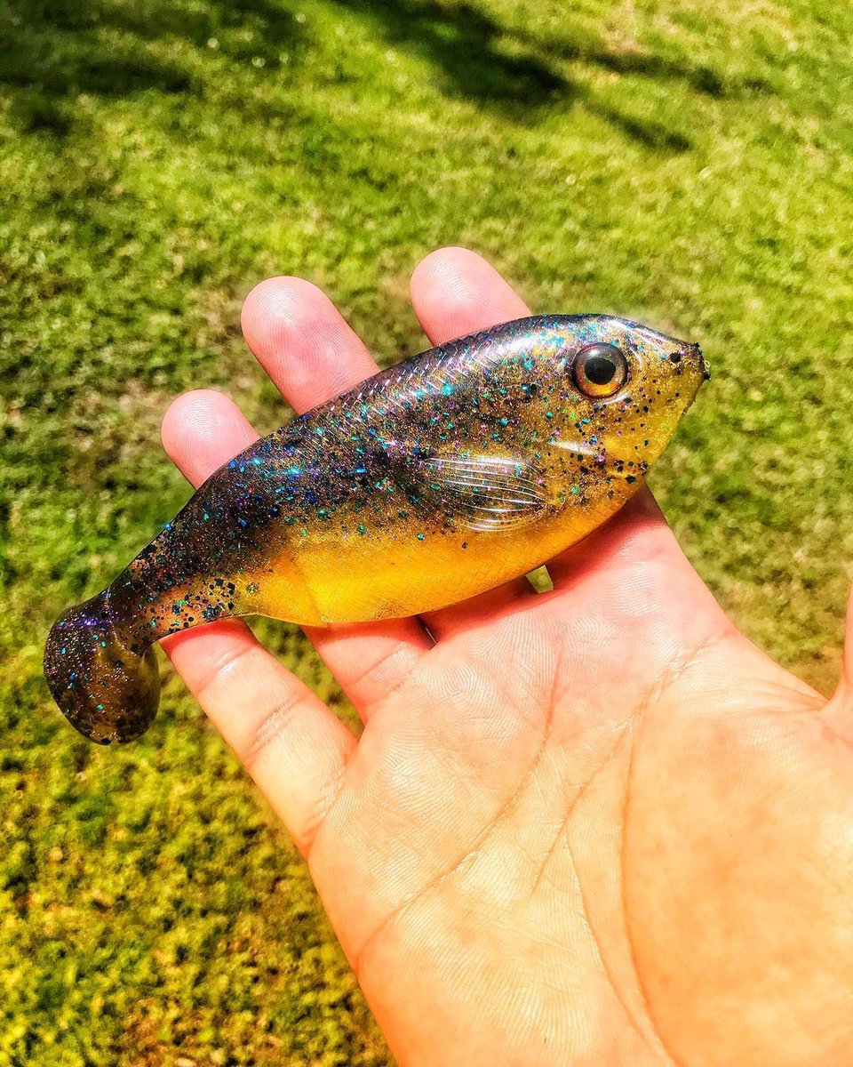 tackle_net's tweet image. 🔁 @middleriverbaits → “Pineapple Express”. One of my favorite of our custom colors. #halfwitgill #bassfishing #largemouthbass #swimbaitjunkies #smallmouth #smallmouthbass #largemouthbassfishing #bass #freshwaterfishing… instagram.com/p/CjCVUtUrVDI/… tackle.net