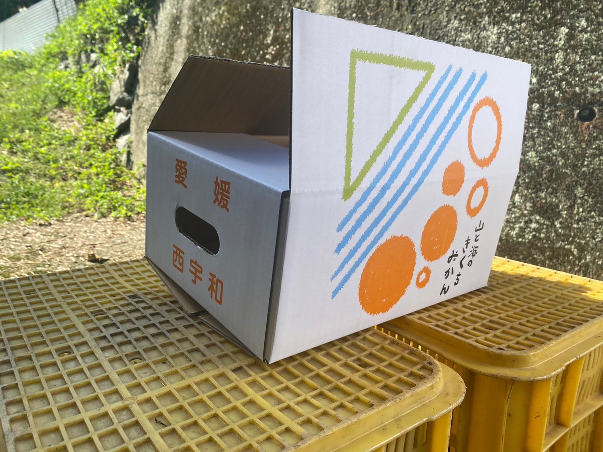 8tocak8's tweet photo. 【山と海のきくちみかん】
愛媛県八幡浜「山と海のきくちみかん」さんのロゴを作成いたしました。

大胆な段ボール箱…！

こちらのサイトでも、みかんのご注文が出来るそうです！
https://t.co/XHmmLiO5m1

#消しゴムはんこ #消しゴムハンコ #eraserstamp #スタンプ #stamp #8tocak #オーダーメイド https://t.co/naBYcJC916