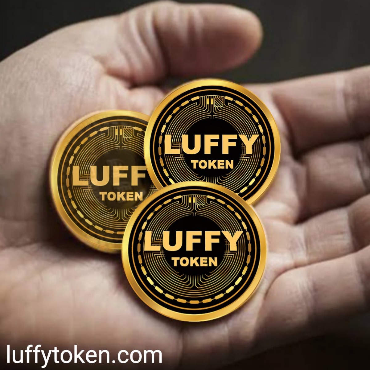 didierluffy's tweet photo. @NFT_C0LLECT0RS #LuffyToken is the best token #NFT #nfts #LuffyTokenArmy #LuffyTokenCrew #ETHGem https://t.co/WGB4sa7Ej7