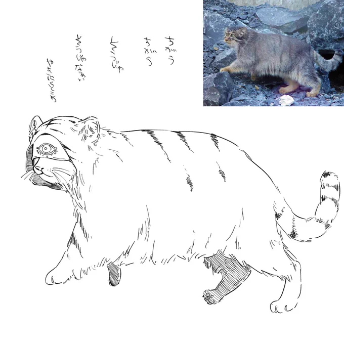 とらんちゃ 