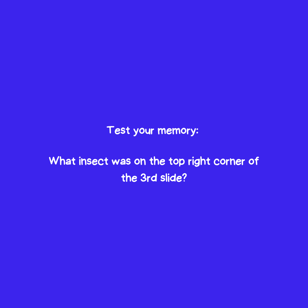 Canopy Study tweet media