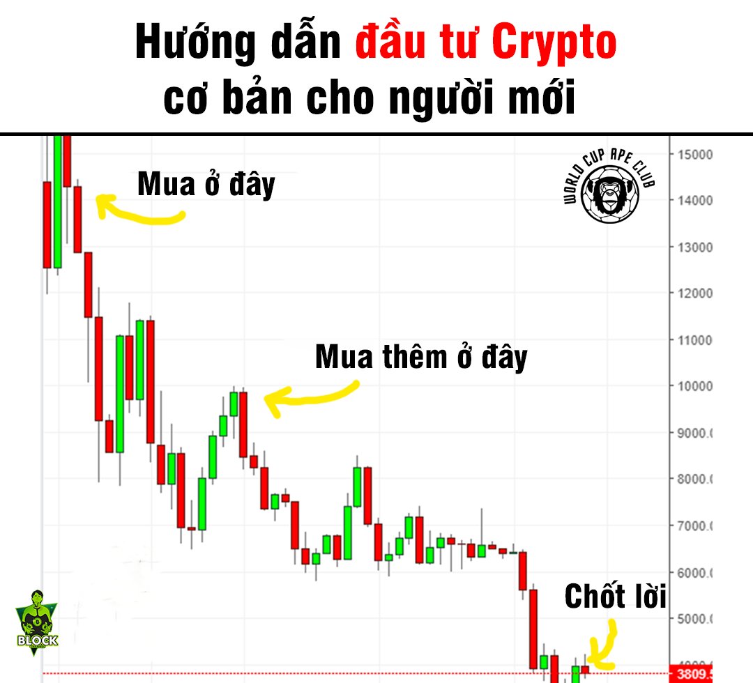 BlockChannelVN's tweet image. Xem cho vui thôi chứ đam mê gì đâu
#blockchannel #Worldcupapeclub