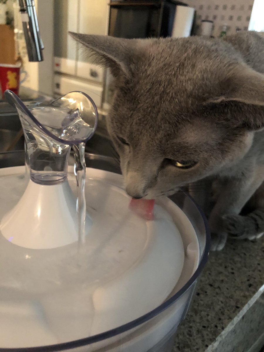 水飲み場見つけたんだ