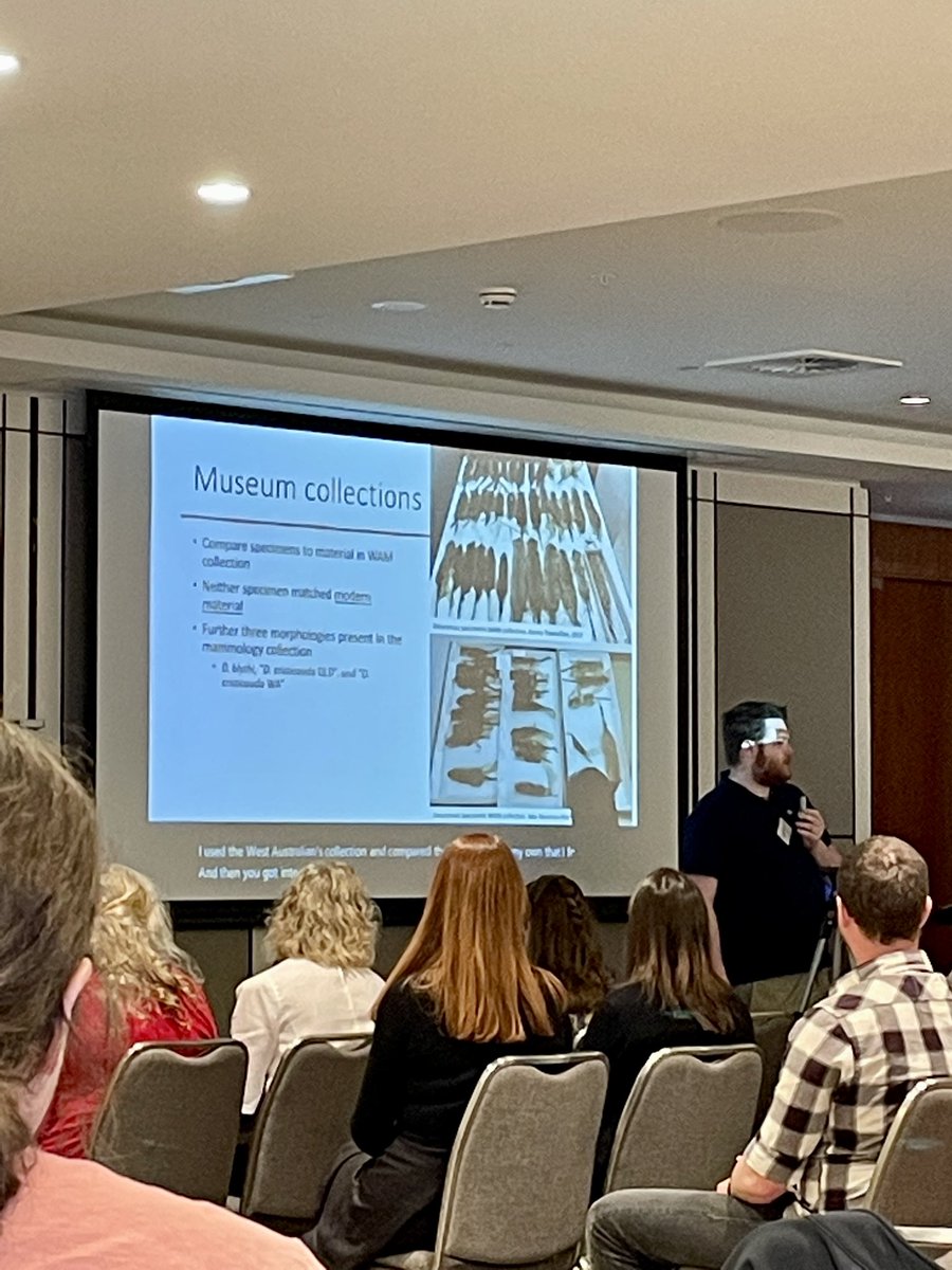 Rob Davis tweet media